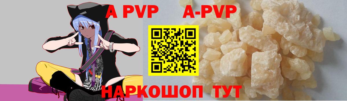 A PVP СК КРИС Бузулук