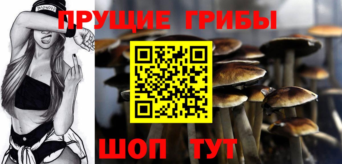 Галлюциногенные грибы ЛСД  Вход с VPN  Бузулук  Псилоцибиновые грибы Cubensis 